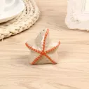 Salière et poivrier en céramique d'une étoile de mer et coquillage créatifs