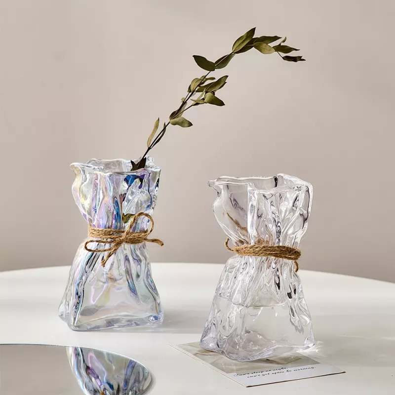 Vases en verre transparent design irrégulier