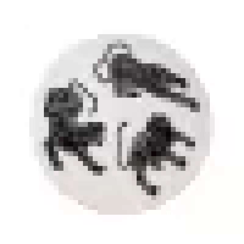 Tapis de chambre luxueux noir et blanc à motif tigre